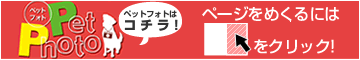 �ڥåȥե���