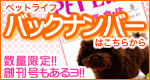 �ڥåȥ饤�դΥХå��ʥ�С��Ϥ����餫��