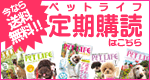 �ڥåȥ饤�դ�������ɤˤĤ��ƤϤ�����