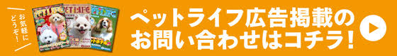 掲載のお問い合わせ